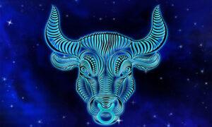 Zodiac sign - taurus